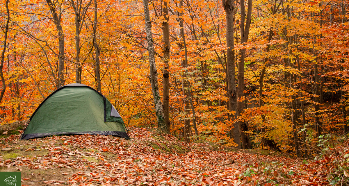 Top 10 Camping Essentials for Fall 2024