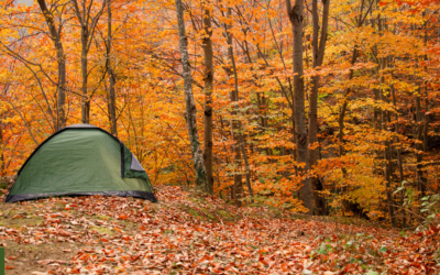 Top 10 Camping Essentials for Fall 2024