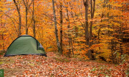 Top 10 Camping Essentials for Fall 2024