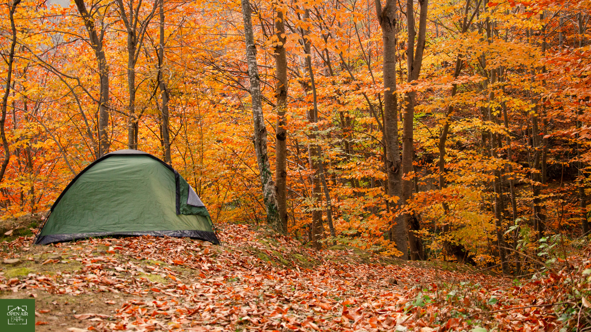 fall_camping