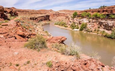 Best Fishing Spots in New Mexico for Late Fall